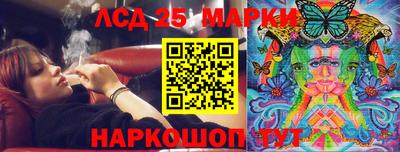 спиды Жуковский