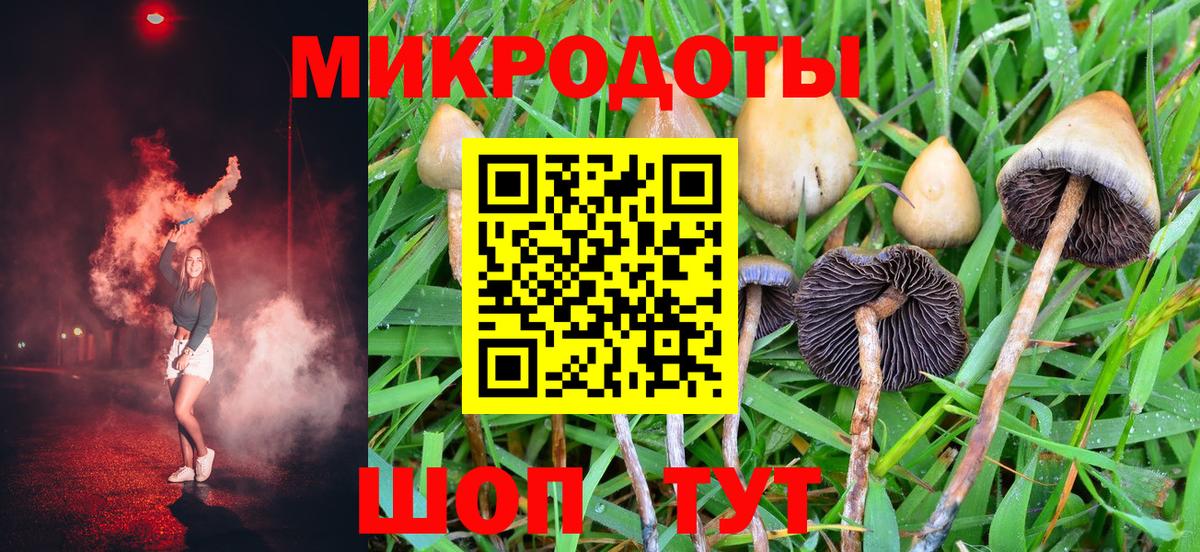Псилоцибиновые грибы MAGIC MUSHROOMS  Вход с VPN  как найти   Ливны 